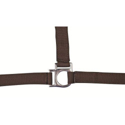 Capezza Stars HKM