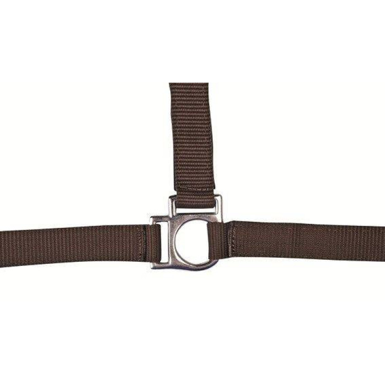 Capezza Stars HKM