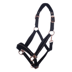 Capezza HKM Berry