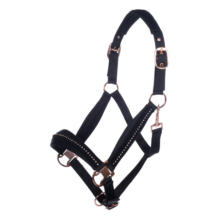 Capezza HKM Berry