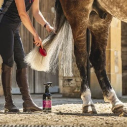 Lozione per criniera e coda Canter® Carr & Day & Martin Lozione per criniera e coda Canter® Carr & Day & Martin