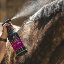 Lozione per criniera e coda Canter® Carr & Day & Martin Lozione per criniera e coda Canter® Carr & Day & Martin