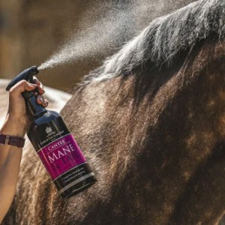 Lozione per criniera e coda Canter® Carr & Day & Martin Lozione per criniera e coda Canter® Carr & Day & Martin
