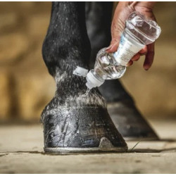 Olio per zoccoli Carr & Day & Martin Daily Hoof Barrier Cornucrescine Olio per zoccoli Carr & Day & Martin Daily Hoof Barrier Cornucrescine