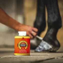 Olio per zoccoli Carr & Day & Martin Daily Hoof Moisturiser Cornucrescine Olio per zoccoli Carr & Day & Martin Daily Hoof Moisturiser Cornucrescine