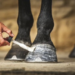 Olio per zoccoli Carr & Day & Martin Daily Hoof Moisturiser Cornucrescine Olio per zoccoli Carr & Day & Martin Daily Hoof Moisturiser Cornucrescine