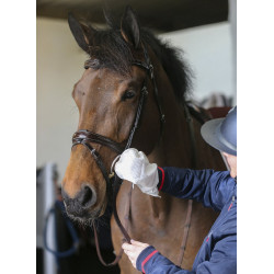Guanti per la pulizia Belvoir® Carr & Day & Martin Tack Cleaner Guanti per la pulizia Belvoir® Carr & Day & Martin Tack Cleaner