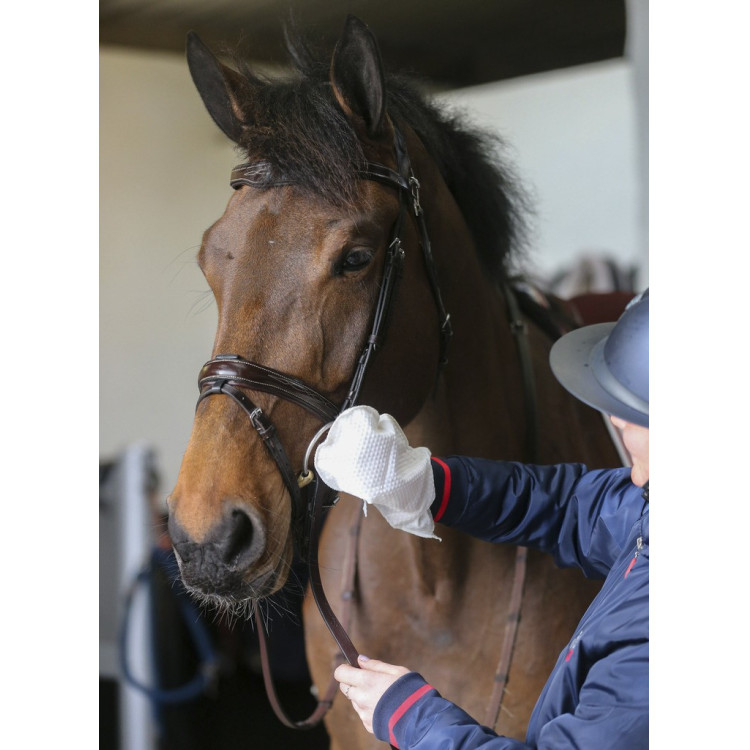 Guanti per la pulizia Belvoir® Carr & Day & Martin Tack Cleaner Guanti per la pulizia Belvoir® Carr & Day & Martin Tack Cleaner