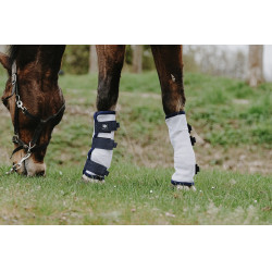 Paranocche anti-mosche Riding World in confezione da 4