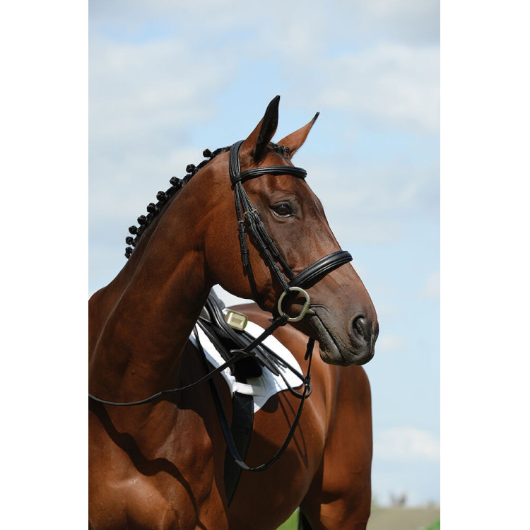 Capezzina Bridon Collegiate Syntovia+ Capezzina Bridon Collegiate Syntovia+