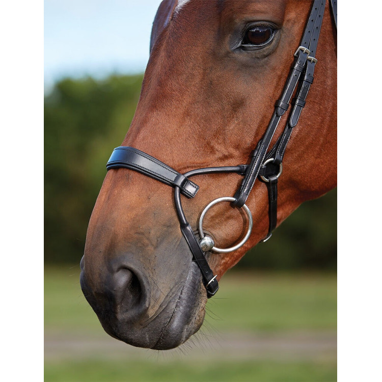 Briglia Collegiate ComFiTec Briglia Collegiate ComFiTec