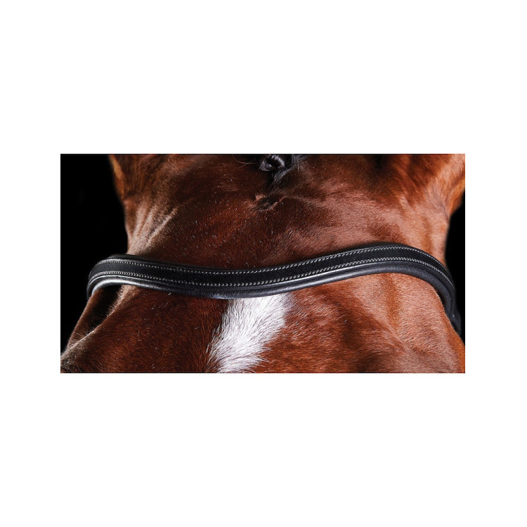 Briglia Collegiate ComFiTec Briglia Collegiate ComFiTec