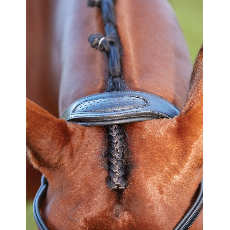 Briglia Collegiate ComFiTec Briglia Collegiate ComFiTec
