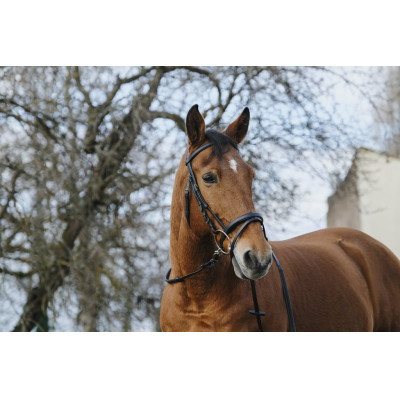 Bridon Norton Training Noir
