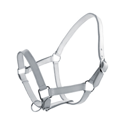 Licol en cuir chromé Blanc
