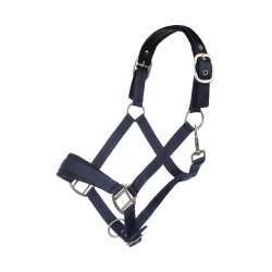 Capezza HKM Samantha Capezza HKM Samantha