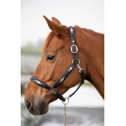 Capezza HFI Polo
