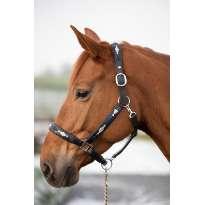 Capezza HFI Polo