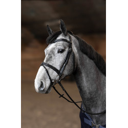 Briglia Combinata Painted HFI Master