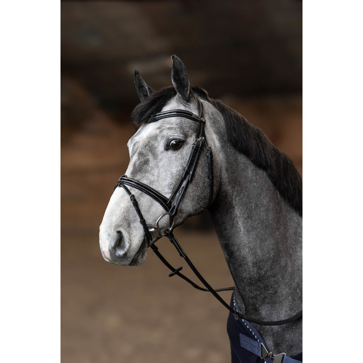 Briglia Combinata Painted HFI Master