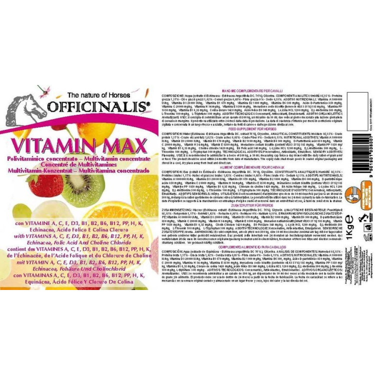Integratore alimentare Officinalis® Vitaminéral Max