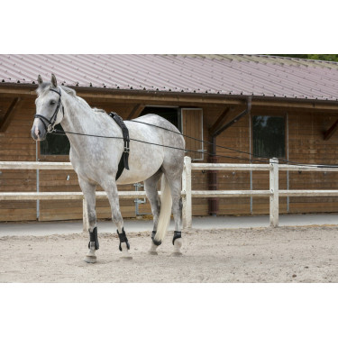 Redini lunghe Riding World cuoio / corda Redini lunghe Riding World cuoio / corda