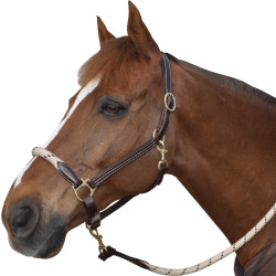 Capestro in corda Canter