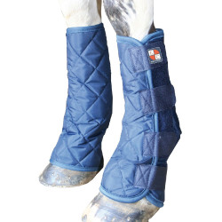 Chaps stabili Equilibrium