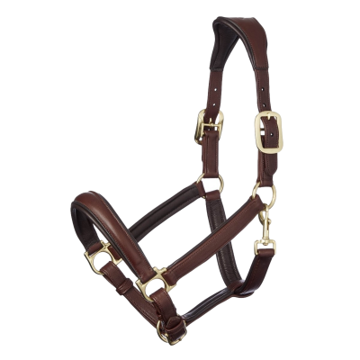 Licol LeMieux Anatomic Marron