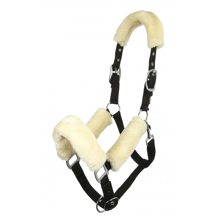 Capestro LeMieux Comfort