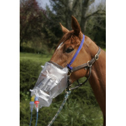MASCHERA TOP HORSENEB