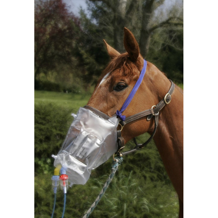 MASCHERA TOP HORSENEB