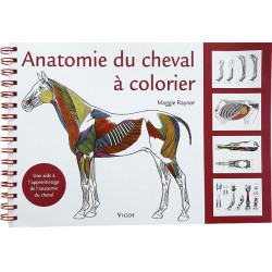 Anatomia del cavallo da colorare