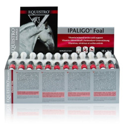 Equistro Ipaligo Puledro