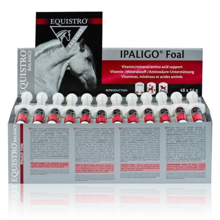 Equistro Ipaligo Puledro