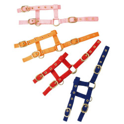 Capestro regolabile mini Capestro regolabile mini