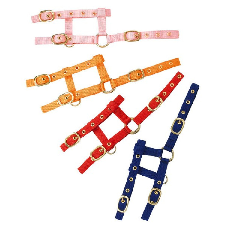 Capestro regolabile mini Capestro regolabile mini