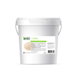 Lisina + ESC Laboratoire