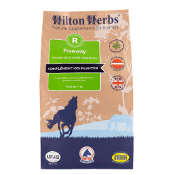 Freeway Hilton Erbe