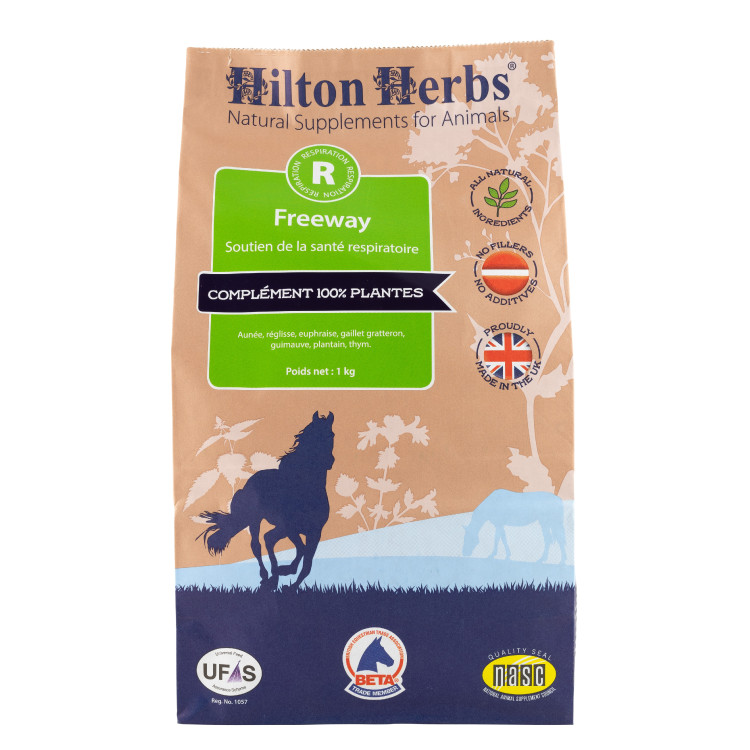 Freeway Hilton Erbe