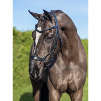 Briglia LeMieux Arika capezzina tedesca Nero / argento