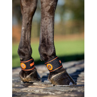 Parapascagna Magno LeMieux Nero