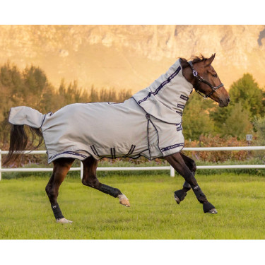 Coperta anti-mosche LeMieux Kudos Gladiator Coperta anti-mosche LeMieux Kudos Gladiator