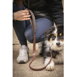Lascia cane Pénélope Rubber Lascia cane Pénélope Rubber