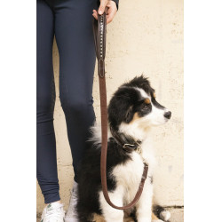 Lascia cane Pénélope Rubber Lascia cane Pénélope Rubber
