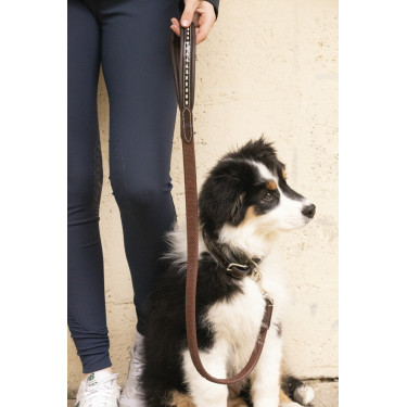 Lascia cane Pénélope Rubber Lascia cane Pénélope Rubber