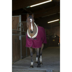 Camicia asciugante Equithème Teddy Camicia asciugante Equithème Teddy