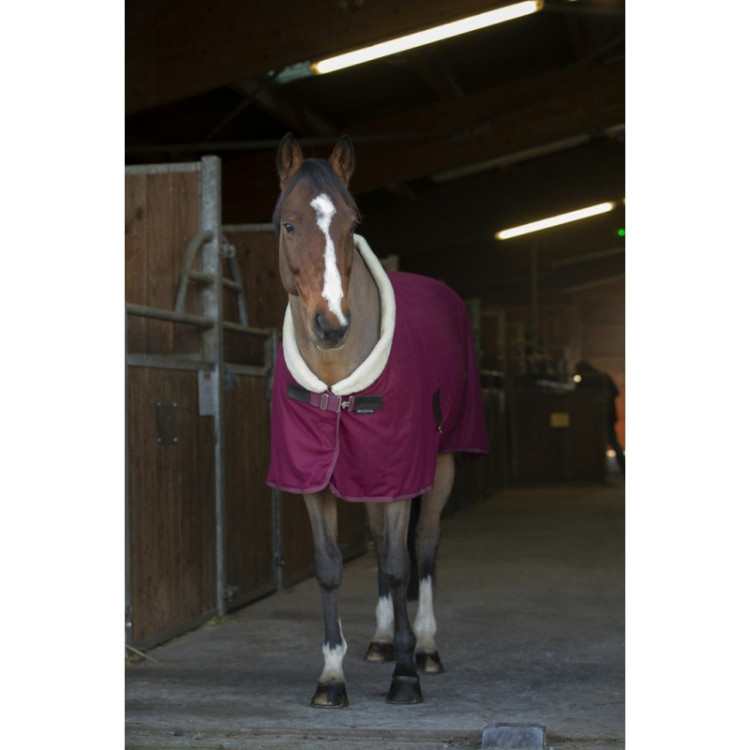Camicia asciugante Equithème Teddy Camicia asciugante Equithème Teddy
