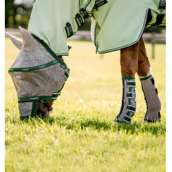 Vliegenbeschermers Horseware Beige / verde