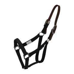 Capezzina per museruola Thinline Breakaway Capezzina per museruola Thinline Breakaway